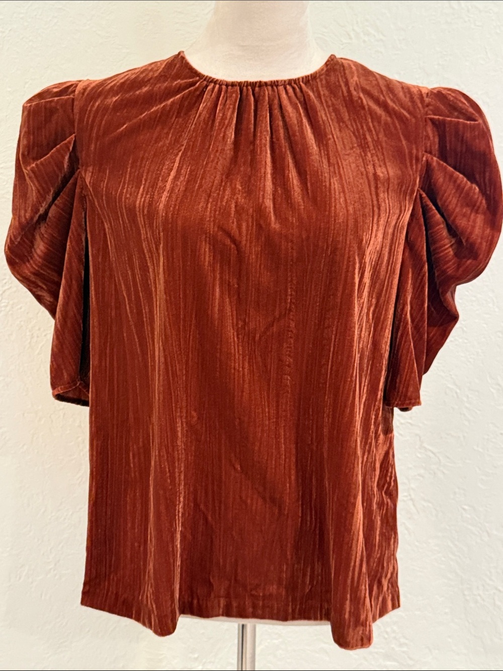Wayf Rust Textured Velvet Puff Sleeve Top size Medium EUC